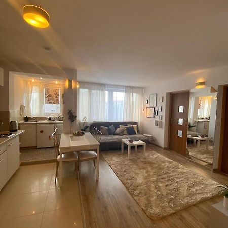 Vicky - New Apartment Centrum Srodmiescie Varşova Dış mekan fotoğraf