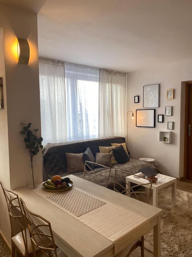 Vicky - New Apartment Centrum Srodmiescie Varşova Dış mekan fotoğraf