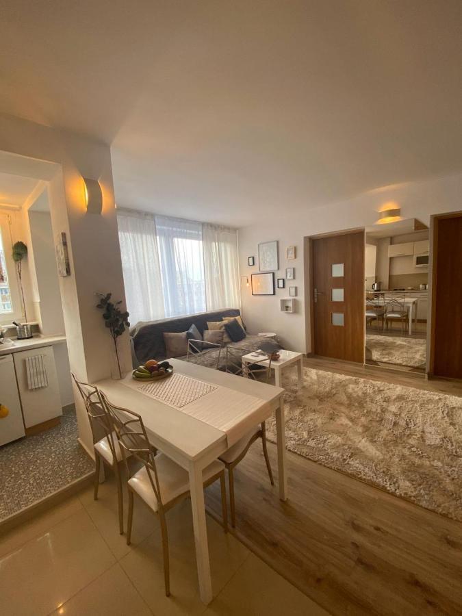 Vicky - New Apartment Centrum Srodmiescie Varşova Dış mekan fotoğraf