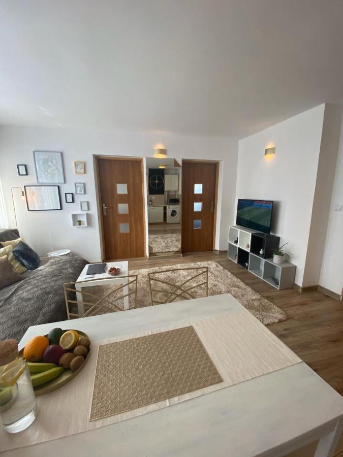 Vicky - New Apartment Centrum Srodmiescie Varşova Dış mekan fotoğraf