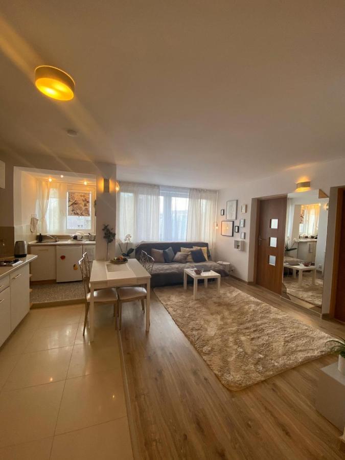 Vicky - New Apartment Centrum Srodmiescie Varşova Dış mekan fotoğraf