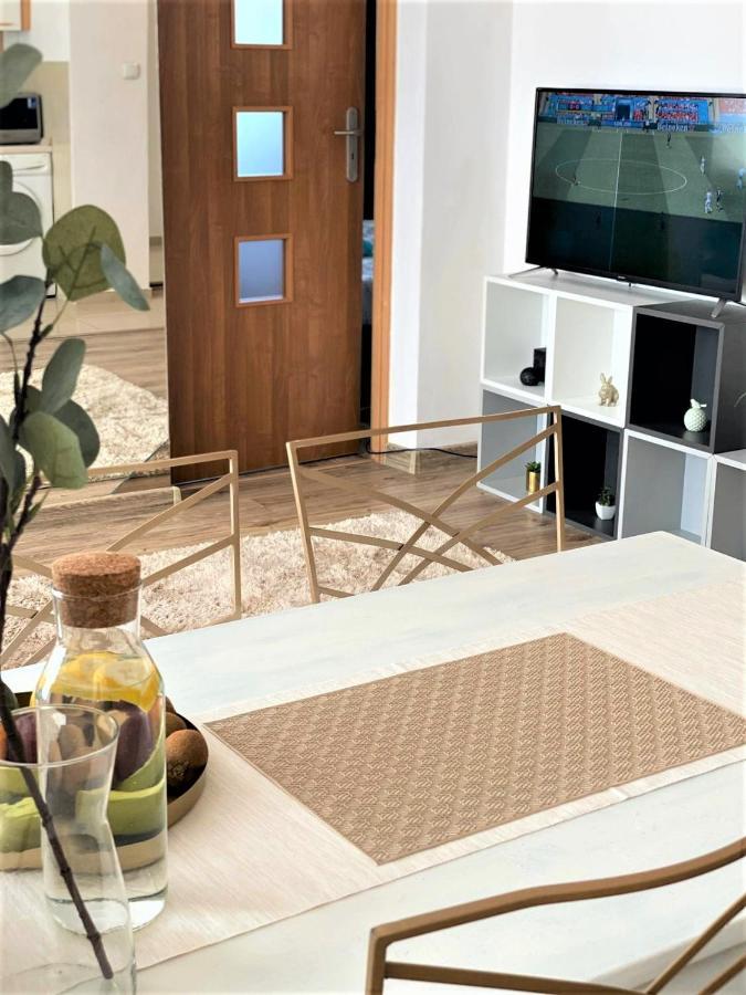 Vicky - New Apartment Centrum Srodmiescie Varşova Dış mekan fotoğraf